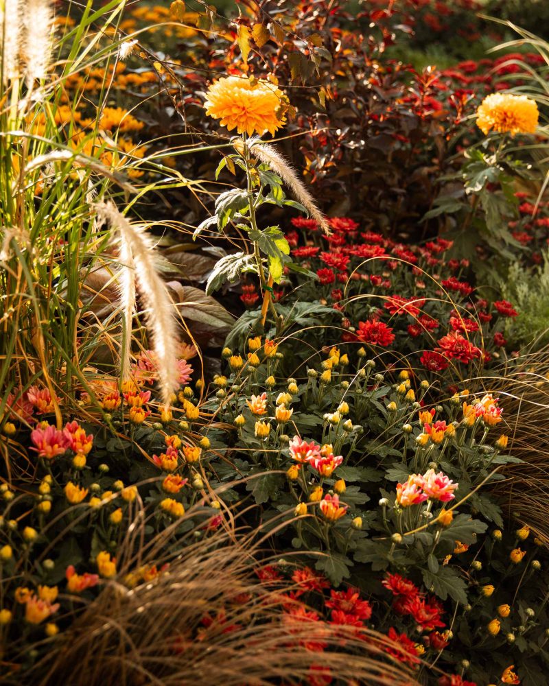 firstdayoffall-1-resized