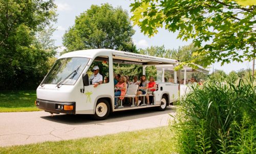 tram-2 (1)